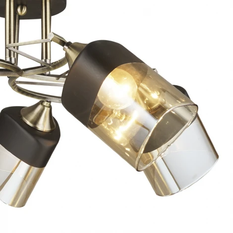 Потолочная люстра Wedo Light Laives 66248.01.37.05