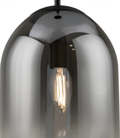 Подвесной светильник Freya Tesse FR1011PL-01B1 (220V, на проводе)