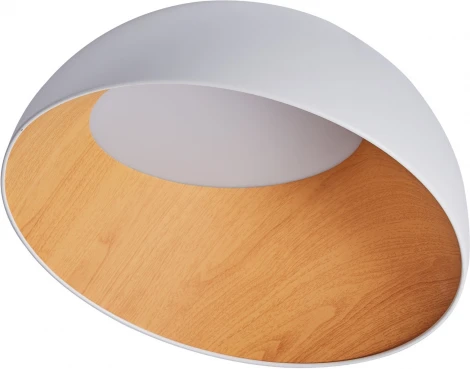 Потолочный светильник круглый светодиодный Zortes Baum ZRS.01201.19 (220V, круглые, IP21)