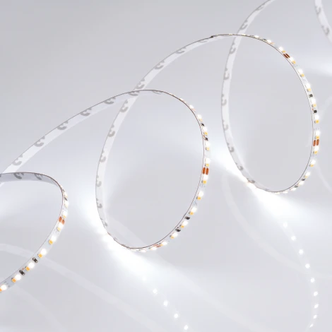 Светодиодная лента MICROLED-M240-4.5mm 24V White-CDW (9.6 W/m, IP20, 2216, 5m) (Arlight, узкая) 024506(2)