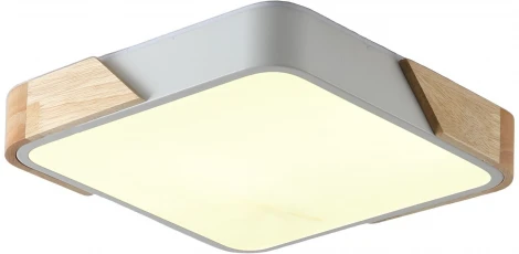 Потолочный светильник Zortes Alberro ZRS.01285.60 (LED, 220V)