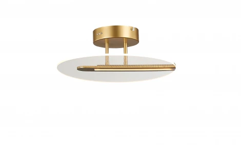 Потолочная люстра Simple Story 1165 1165-LED17CL
