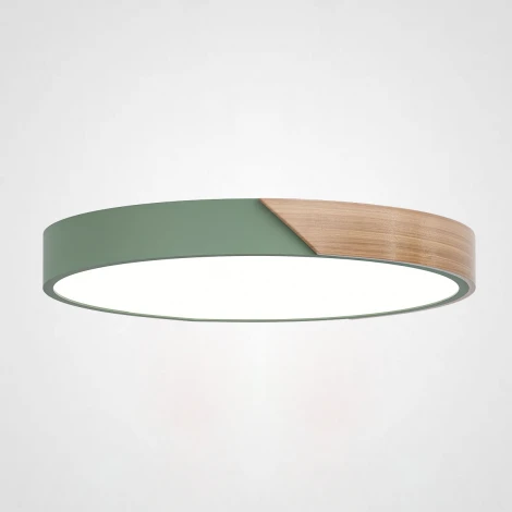 Потолочный светильник круглый Clip Green D40 ImperiumLoft Clip01 (193047-26) (LED, 220V, круглые)