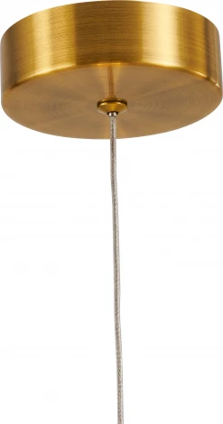 Подвесной светильник Favourite Cattivo 4451-1P (LED, 220V, на проводе)