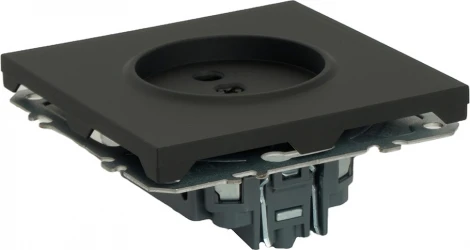 Розетка без заземления со шторками (черный) Stekker Эмили 49850