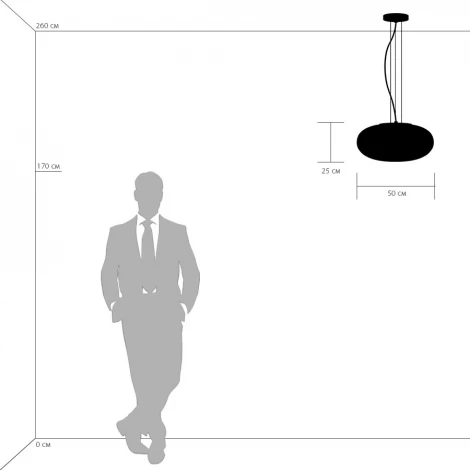 Подвесной светильник Lightstar Meringe 801040 (220V, на тросе, круглые)