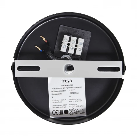Подвесной светильник Freya Enface FR5466PL-01B