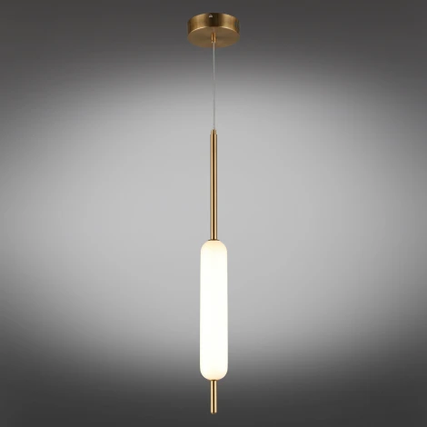 Подвесной светильник Aployt Carla APL.010.06.08 (LED, 220V, на проводе, круглые)