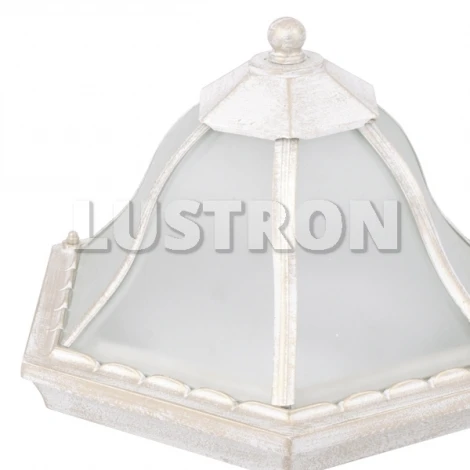 Потолочный светильник уличный Arte Lamp Portico A1826PF-2WG