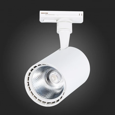 Трековый светильник ST Luce Cami ST351.546.20.36 (LED, 220V, круглые, IP22)
