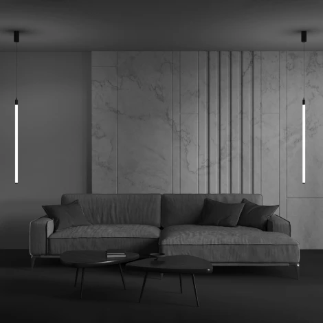 Подвесной светильник Ray 3000К 20Вт LED Maytoni Technical P022PL-L20B3K (220V, на проводе, круглые)