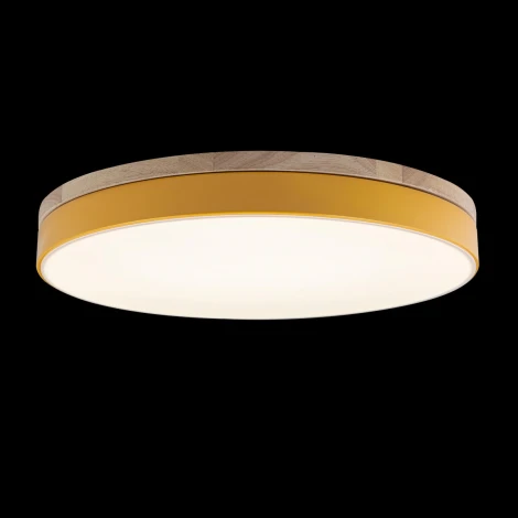 Потолочный светильник круглый Loft IT Axel 10001/36 Yellow (LED, 220V, круглые)