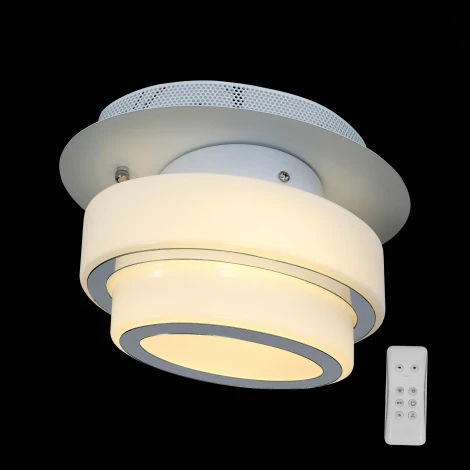 Настенно-потолочный светильник ST Luce Ovale SL546.501.01