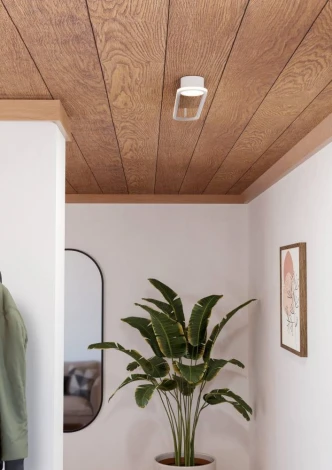 Настенно-потолочный светильник светодиодный с регулировкой цветовой температуры Eglo Collecorvino 902152