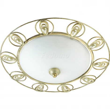 Настенно-потолочный светильник Odeon Light Kanti 3483/2C