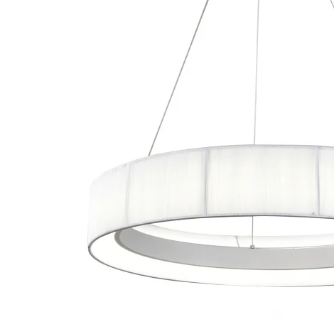 Подвесной светильник светодиодный с пультом и ночным режимом Indigo Luminosa V000210L (13041/C/1P White)