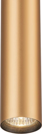 Трековый светильник однофазный Escada 20001 20001TRP/01 BR 1x50Вт GU10, металл, латунь матовая (220V, круглые)