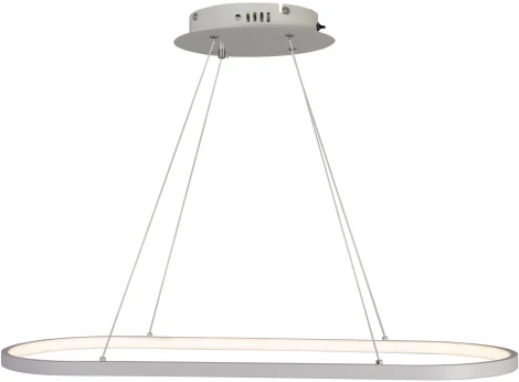 Подвесной светильник светодиодный с ДУ Ritter Rivo 52092 8