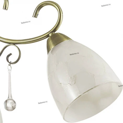 Потолочная люстра Lumion Eleconca 3511/3C