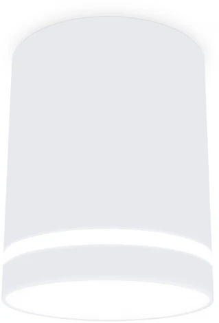 Точечный накладной светодиодный светильник TECHNO SPOT TN3202 (220V)