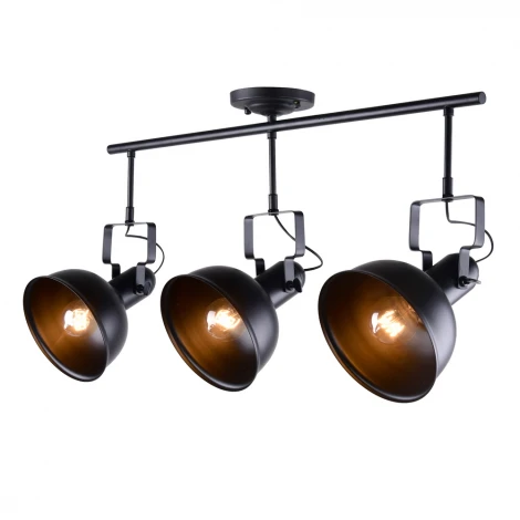 Потолочная люстра RiForma Scoop 1-8565-3-BK E27