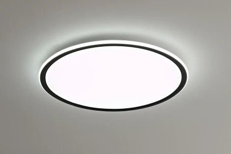 Потолочный светильник круглый с пультом Zortes Galo ZRS.10112.07 (LED, 220V, круглые)