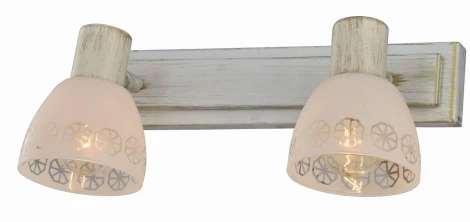 Спот Toplight Shona TL3740Y-02WG