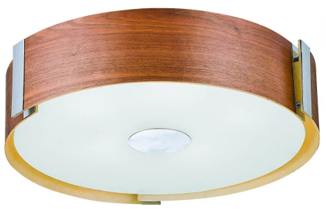 Потолочный светильник ST Luce SL719 SL719.012.04