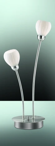 Интерьерная настольная лампа Odeon Light Akron 2469/2T