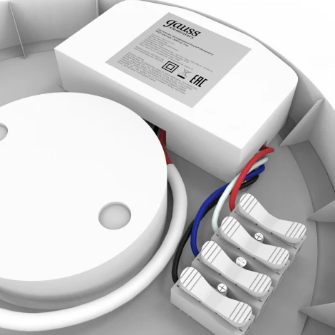 Настенно-потолочный светильник светодиодный Gauss 126411212A