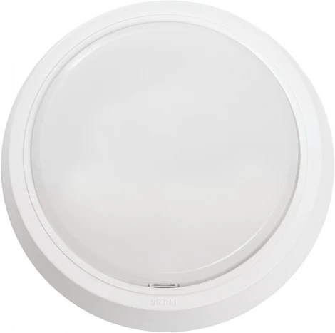 Настенно-потолочный светильник светодиодный Feron AL3020 41766 (220V, круглые)