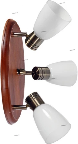 Спот Дубравия Анри 150-71-13