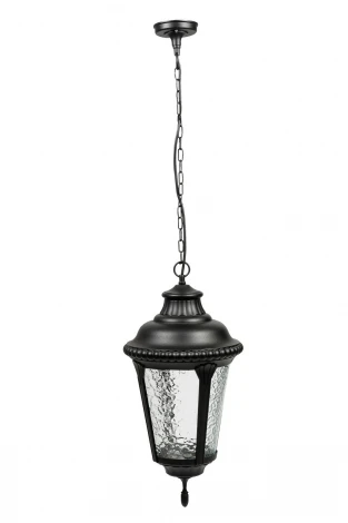 Уличный светильник подвесной Oasis Light 79755М Bl (220V, на цепи, IP44)