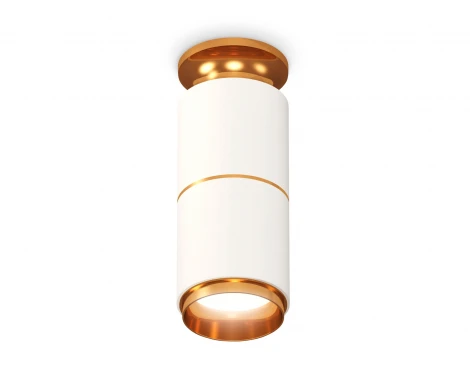 Накладной точечный светильник Ambrella Techno Spot XS6301260 (220V, круглые)