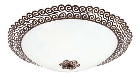 Потолочный светильник Favourite Dina 1670-4C