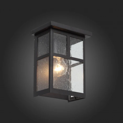 Настенный светильник уличный ST Luce Glazgo SL079.401.01