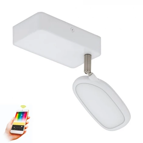 Спот Eglo Palombare-C 97691