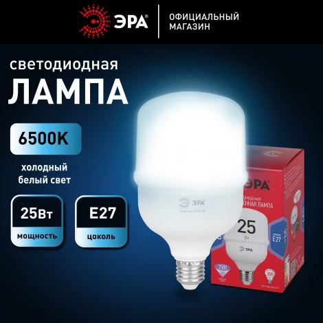Лампочка светодиодная E27 25W ЭРА LED POWER T70-25W-6500-E27 R