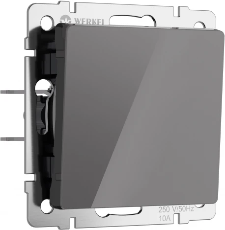 Выключатель одноклавишный проходной (графит акрил) Werkel W1112044 (a064079)