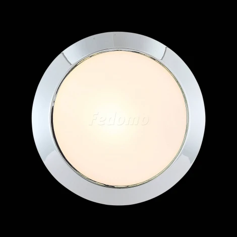 Настенно-потолочный светильник ST Luce Bagno SL469.502.01