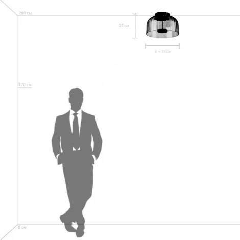 Потолочный светильник круглый светодиодный Lightstar Celesta 809062 (220V, круглые)