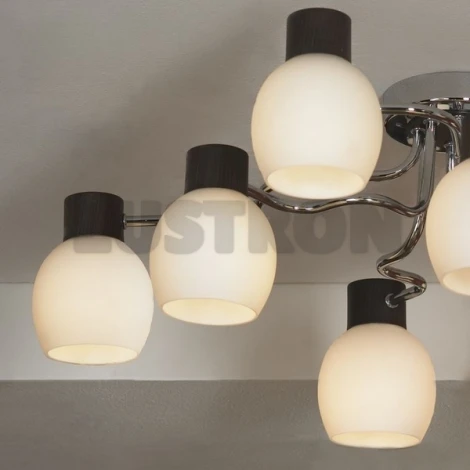 Потолочная люстра Lussole Carpino LSC-8503-08