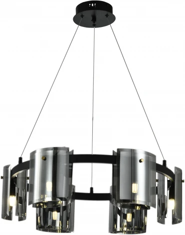 Подвесная люстра Zortes Rony ZRS.1209.06 (220V, на тросе, круглые)
