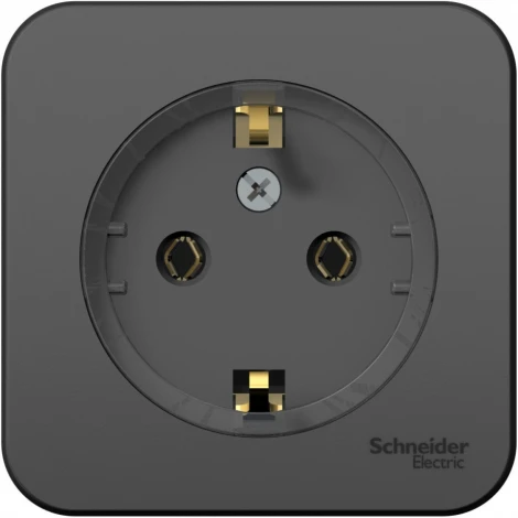 Розетка накладная с заземлением (антрацит) Systeme Electric Blanca BLNRA110116