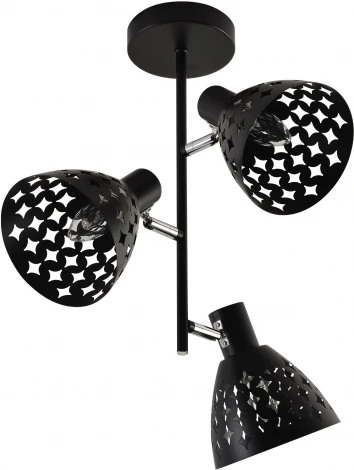Потолочная люстра на штанге Reluce 01554-3.3-03B BK+CR (220V)