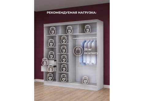 Шкаф-купе Москана-2 2 м Хандис Woodville 614770