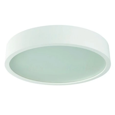 Потолочный светильник круглый Jasmin 23128 (220V)