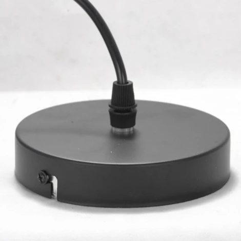 Подвесной светильник Lussole Lgo Bossier GRLSP-8273 (220V, на проводе, IP21)