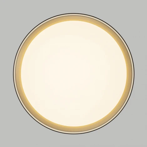 Потолочный светильник RGB круглый светодиодный с пультом Citilux Boss CL751351G (220V, круглые)