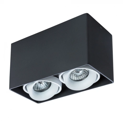 Накладной точечный светильник Arte Lamp Pictor A5654PL-2BK